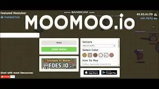 MOOMOO.İO WOLF WOLF New update, Treasure Chest, Armored Wolf Boss, Turret Hat