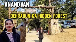 Anand Van Dehradun 2026 | Dehradun ka Hidden Forest | Dehradun Tourist places | Complete Guide 2026