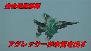 【F-15】アグレッサーが本気を見せたら こういう飛び方になる 飛行教導群 / JASDF F-15 AGGRESSOR Nyutabaru Air Show 2010