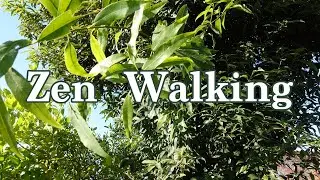 7 Tips of Zen Walking and The Superior Points Compare to Ordinary Walking