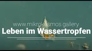 Leben im Wassertropfen Episode 1