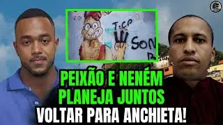 A VOLTA DO 