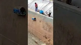 Unbelievable Dog Rescue Moment! #shorts #rescue  #wildlife