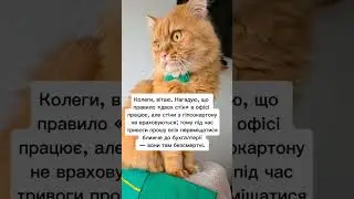 Бухгалтерія😁#гуморукраїна #українці #веселівідео #кітблогер #війнавукраїні #війнавукраїні #cat