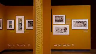 Tentoonstellingen najaar 2019 in Japanmuseum SieboldHuis