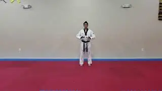 Taegeuk  EE 2 Jang Yellow Green Stripe Belt Full Version