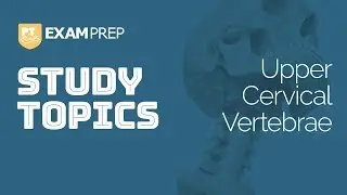 Study Topics: Upper Cervical Vertebrae