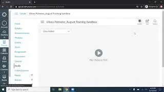 Canvas Studio Does Not Allow Me To Screen Capture