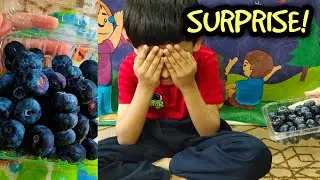 SURPRISE!! BuzzyB gets his Favourite Fruit To Eat First Time!!