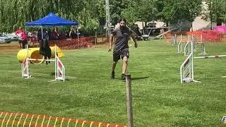 Perla at Kraft agility cup, 20/06/2021