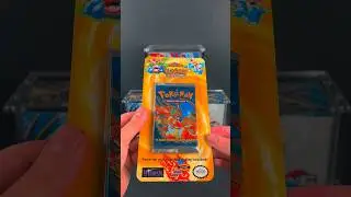 WOTC Era Blisters - Blister Week Showcase