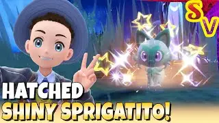 Shiny Sprigatito Hatched at 439 Eggs! Live Shiny Reaction in Pokemon Violet