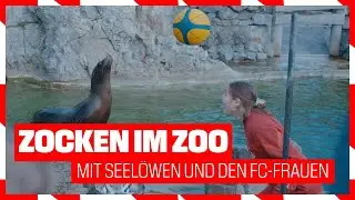 🐐 ZOCKEN im ZOO! 🦭 | FC-Frauen im Kölner Zoo | 1. FC Köln | Highlight-Spiel gegen Werder Bremen!