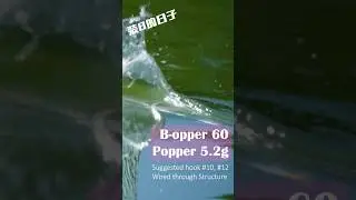 看著水花好舒壓啊～b-opper 60，最強鑰匙圈😂｜裝B的日子 #rules #lurefishing #topwaterlures #topwatergame #popper