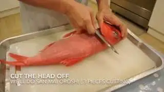 Preparing Kinmedai (Alfonsino) for sushi/ sashimi