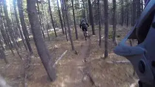 Chasing Steve Down Shoulda - April 17 2019