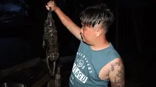 MONYET Masak Goreng Campur Tuhau Dan Beer,Kehidupan Survivor Biasa Bagi Kami.