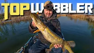 Brand New Crankbait Catches Pike on FIRST CAST!!! 🎣💥🐟 4k