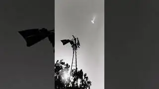 Project Blue Book - The Government Investigation Of UFO's