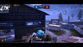 Short video Qamber