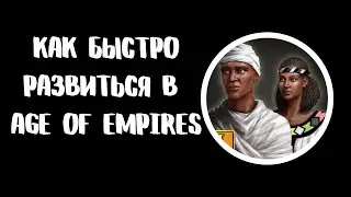 Как быстро  развиться в Age of Empires III: Definitive Edition