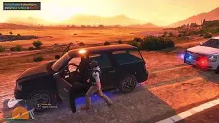 GTA5 LSPDFR-FELONYSTOP 