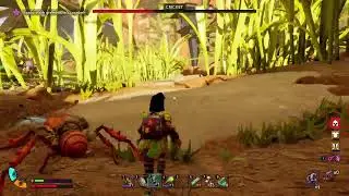 Livestream Grounded 2 Toxic Tangle Update #2