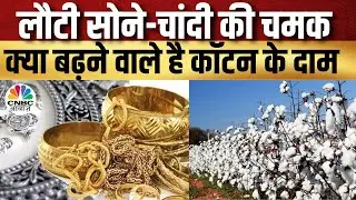 Commodity Market News : MCX पर सोना 58000 के पार, 3% से ज्यादा गिरा मेंथा आयल | Business News