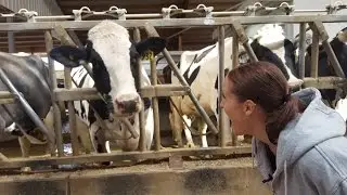 Technology in Motion - Dairy Science