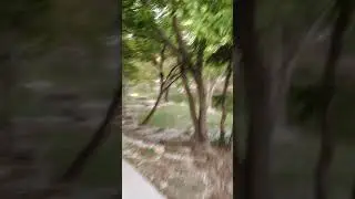 Brushy creek round rock texas walk way