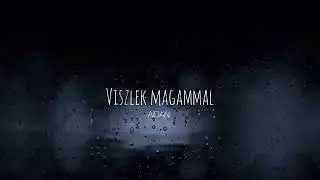 AiDAN X VISZLEK MAGAMMAL