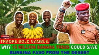 Traor&eacute;&rsquo;s Bold Gamble: Why 15 Million Banana Trees Could Save Burkina Faso from the Desert