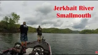 River Smallmouth on Jerkbaits