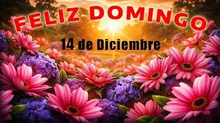 💛 Domingo en la Presencia de Dios 📖 Confía y Suelta el Control 🙏