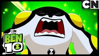 OGNI EPISODIO DELLA STAGIONE 1 | Ben 10 Italiano | Cartoon Network