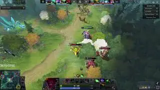 XIBBE CHAD (Gorgc)