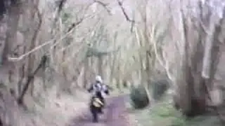 Heavy Horse Centre