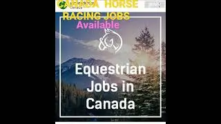 Horse Riders Jobs REQUIRED in Canada 2022
