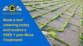 Seattle Roof Maintenance | Book Now & Receive a free 1 year Moss Treatment