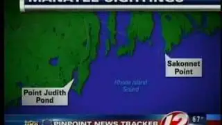 Manatee sightings