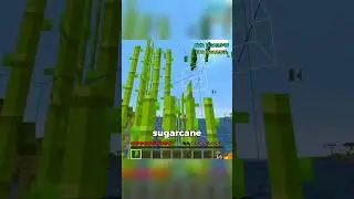 Speedrunning my birthday cake  #minecraft #gaming #minecraftspeedrun