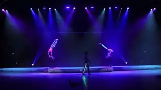 Pauschenpferd Show/Showproject
