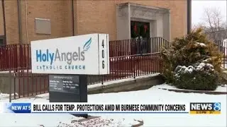 Bill calls for temporary protections amid Michigan Burmese community concerns