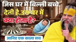 जिस घर में बिल्ली बच्चे देती है। उसे घर का क्या होता है जान सच्चाई। प्रेमानंद महाराज ji