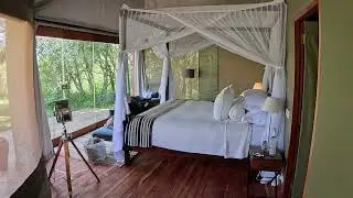 Sala's Camp Tent #7 Tour - Safari Collection