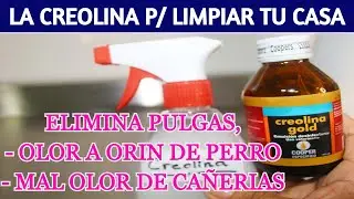 🌺 USOS DE LA CREOLINA para desinfectar y limpiar tu casa !