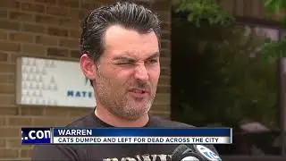 Warren Animal Control trying to find out who is dumping dozens of sick cats, kittens around city