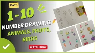 How to Draw Fruits, Animals & Birds with Numbers