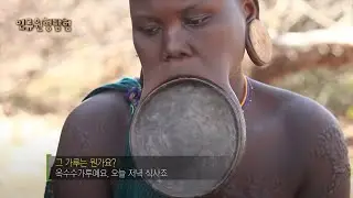 원시부족의 언어를 어떻게 번역한걸까?