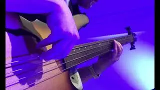 フレットレス Ibanez SRH500F